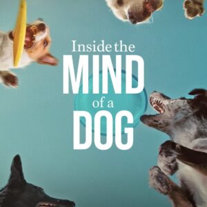 Inside the Mind of a Dog (2024) Full Movie – FlimFetch