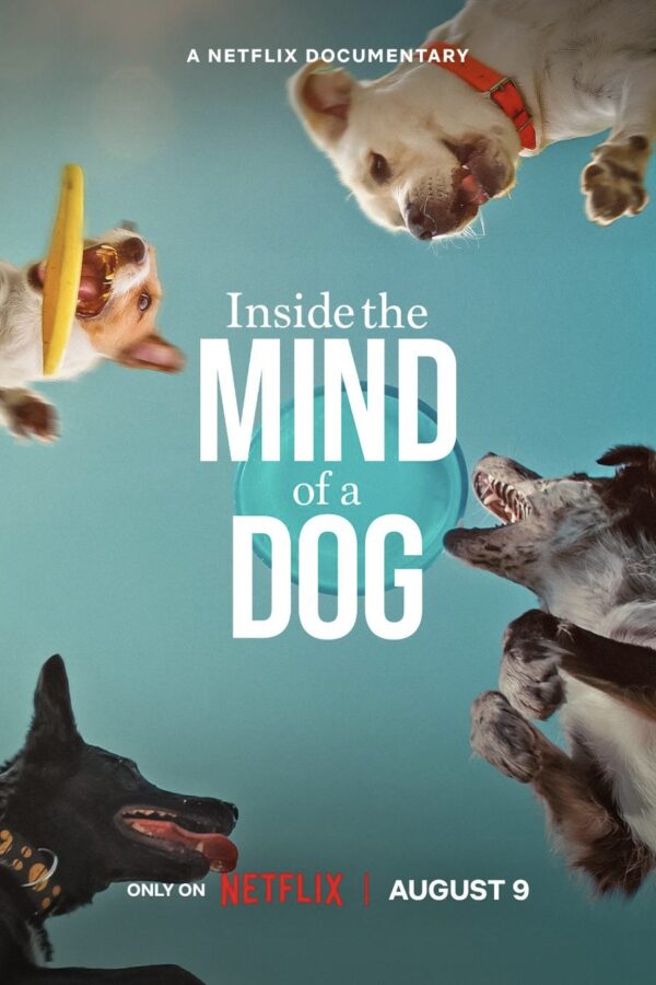 Inside the Mind of a Dog (2024) Full Movie - FlimFetch