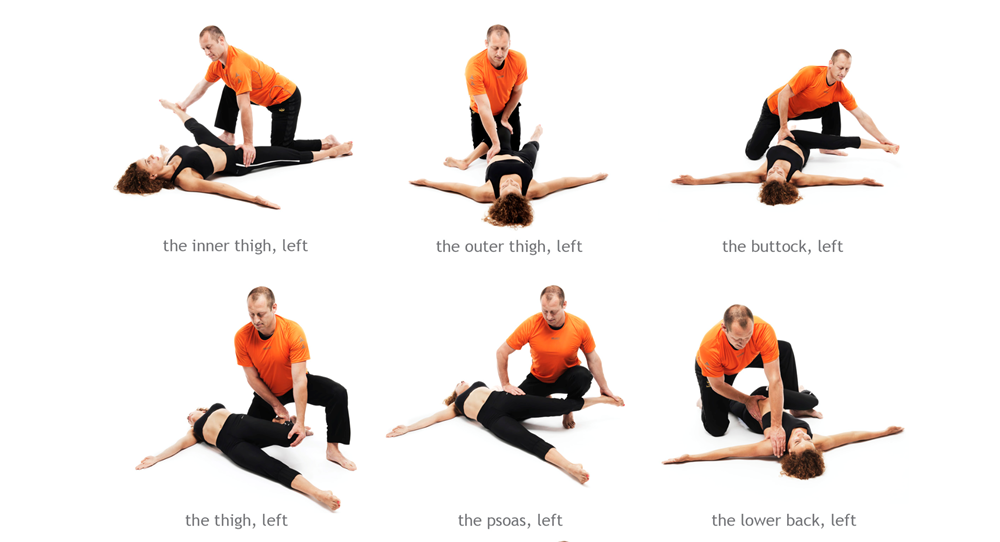 Top Stretching Exercises for Flexibility and Injury Prevention: A Comprehensive Guide